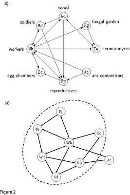 A single changing hypernetwork to represent (social-)ecological dynamics