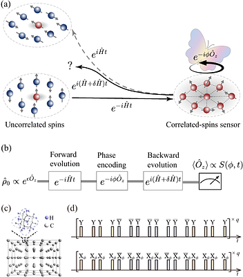 Correlation-enhanced metrology from scrambling dynamics in a solid-state spin system