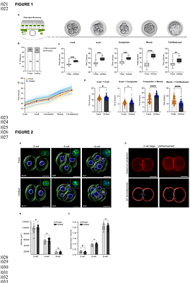 Vitrification-warming delays preimplantation development and impairs mitochondrial function and cytoplasmic lattices integrity in mouse embryos