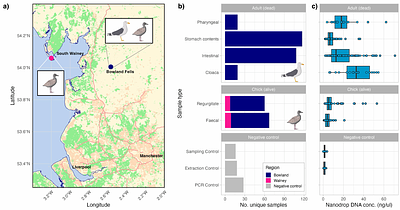 Evaluating DNA metabarcoding to characterise diet diversity and foraging strategies in a generalist mesopredator, the lesser black-backed gull (Larus fuscus)