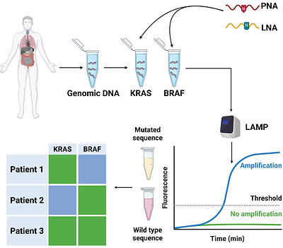 Mutation profiling of KRAS and BRAF in primary tumors and circulating tumor cells of colorectal cancer patients using PNA-LNA molecular switch