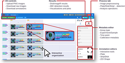 J-AST: a web-based analysis platform for antimicrobial susceptibility testing