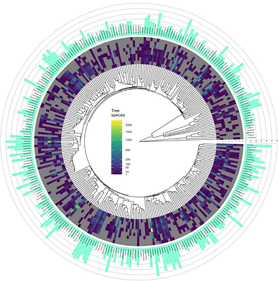The Agroforestry Species Switchboard, a global resource to explore information for 107,269 plant species