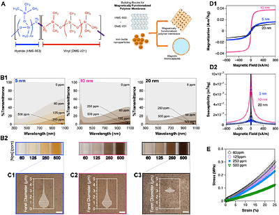 Magnetically Responsive Nanocultures for Direct Microbial Assessment in Soil Environments