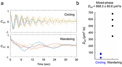 Sperm hyperactivation drives a circling-and-wandering migration strategy