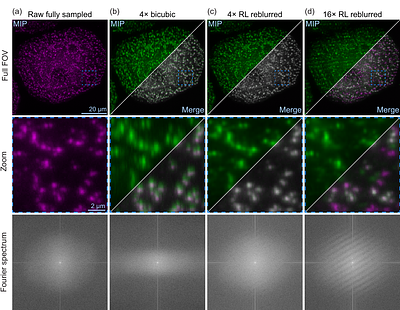 A deconvolution solution to aliasing confusion in apparently undersampled oblique plane microscopy