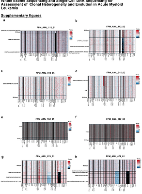 Whole Exome Sequencing and Single-Cell DNA Sequencing for Assessment of Clonal Heterogeneity and Evolution in Acute Myeloid Leukemia