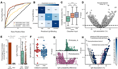 Metagenomic Immunoglobulin Sequencing (MIG-Seq) Exposes Patterns of IgA Antibody Binding in the Healthy Human Gut Microbiome