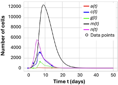 Expert-guided multi-objective optimization: an efficient strategy for parameter estimation of biological systems with limited data.