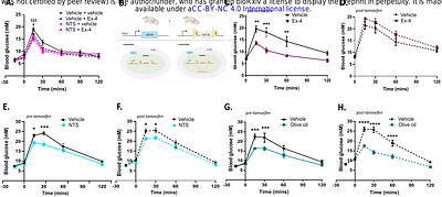 Enteropancreatic neurons drive the glucoregulatory response to ingested lipid