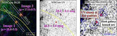VENUS: an ultra-faint galaxy hosting the metal-poor type II supernova at $z=5.13$ Witnessing the initial metal enrichment with extremely frequent core-collapse supernovae?
