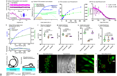 Quantitative comparison of fluorescent reporters by FCS excitation scan