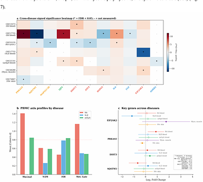 Bistable attractor dynamics in difficult-to-treat rheumatic disease: a multi-axis ODE framework with cross-disease transcriptomic evidence