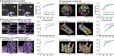Cellpose-SAM: superhuman generalization for cellular segmentation