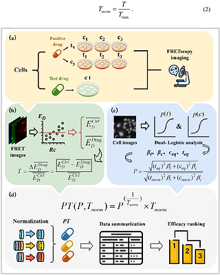 Dual-Logistic Analysis of Time- and Concentration-Dependent Phenotypic Efficacy Evaluation Integrating Drug Targets Information