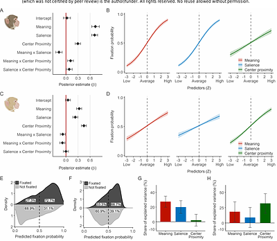 Meaning-based guidance of attention in rhesus monkeys during naturalistic scene viewing