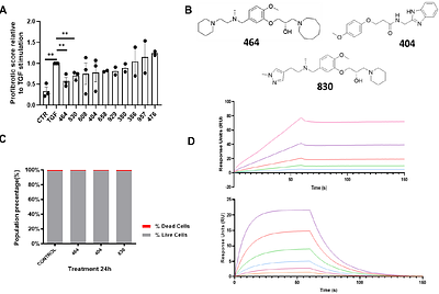 Targeting Tenascin-C-Toll-like Receptor 4 signalling with Adhiron-derived small molecules - a viable strategy for reducing fibrosis in Systemic Sclerosis