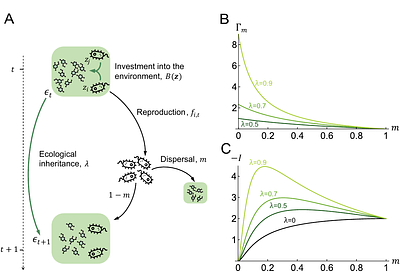 Ecological inheritance facilitates the coexistence of environmental helpers and free-riders