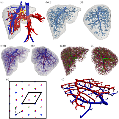Multiscale computational framework for generating vascularizedbiohybrid tissue constructs
