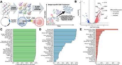 Validation and analysis of 12,000 AI-driven CAR-T designs in the Bits to Binders competition