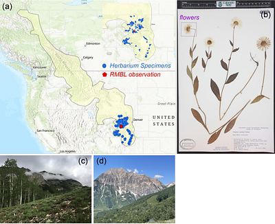 Herbarium specimens reliably track plant phenological responses to climate change in understudied montane biomes