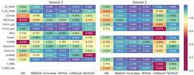 Comparison and benchmark of deep learning methods for non-coding RNA classification