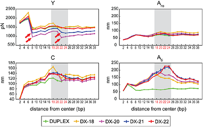 Mechanical properties of DNA double-crossover motifs