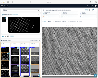 Magellon - an extensible platform for cryo-EM data visualization, management, and processing