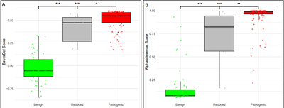 Characteristics predicting reduced penetrance variants in the high-risk cancer predisposition gene TP53