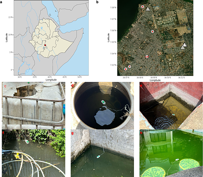 Local trait responses and aquatic microclimates increase projected habitat suitability for field-collected Anopheles stephensi in southern Ethiopia