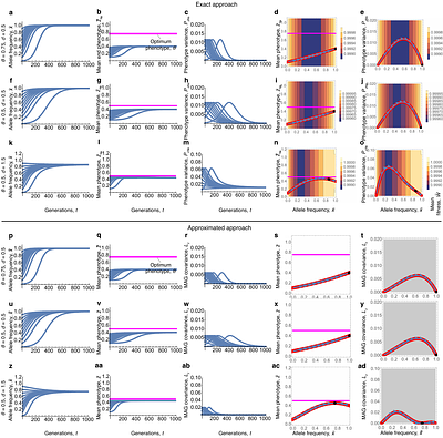 A mathematical synthesis of genetics, development, and evolution