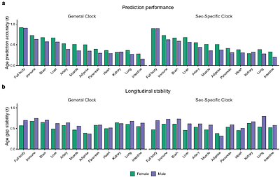 Longitudinal dynamics of organ-specific proteomic aging clocks over a decade of midlife