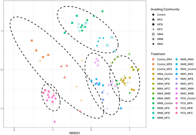 Drift-driven microbiome simplification generates reconstructable and ecologically cohesive microbial communities