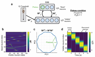 Credit Assignment via Behavioral Timescale Synaptic Plasticity: Theoretical Frameworks