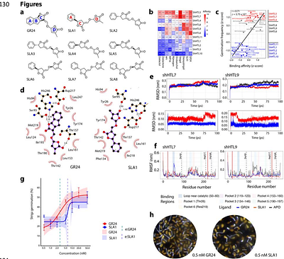 Expanding the repertoire of suicidal germination stimulants for control of parasitic weeds