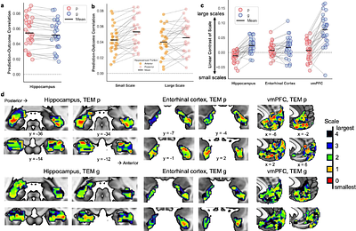 The representation of emotion knowledge in hippocampal-prefrontal systems