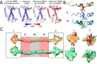 High resolution structure of plant Light-Harvesting Complex II (LHCII) provides insight into lutein conformations and energy quenching