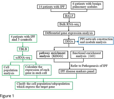 A novel proliferative candidate genes panel for idiopathic pulmonary fibrosis: insights from integrated bulk and single-cell RNA sequencing