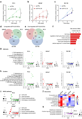DPYSL3B is a regulator of chemoresistance via DNA repair and metabolic reprogramming in prostate cancer
