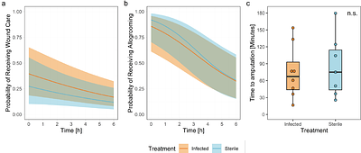 Better Safe Than Sorry: Leg Amputations as a Prophylactic Wound Care Behaviour in Carpenter Ants