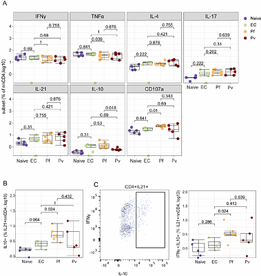 Comparison of CD4 T cell response in Plasmodium falciparum and vivax malaria