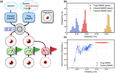 Optimal control with flag qubits