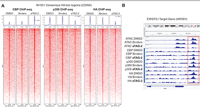 An epigenetic bifunctional that toggles between transactivation and repression