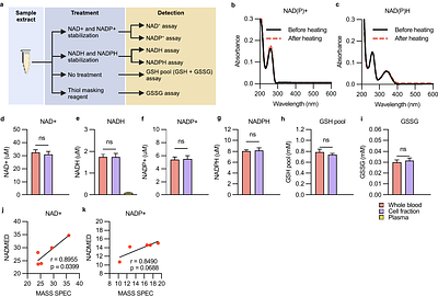 Dynamics of blood NAD and glutathione in health, disease, aging and under NAD-booster treatment