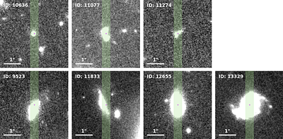 Low-mass and High-sSFR H$α$ Emitters at $z \sim 2$ in the ZFOURGE-COSMOS Field