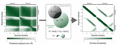 Pinc: a simple probabilistic AlphaFold interaction score