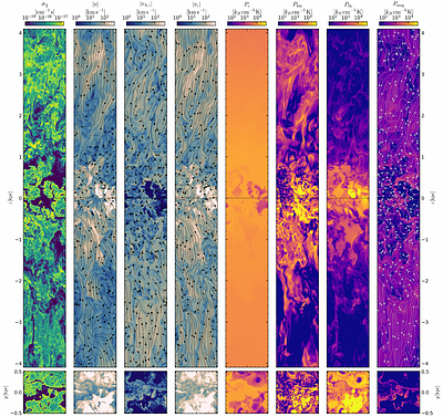 Cosmic Ray Feedback in Galactic Disks: Star Formation, Cosmic Ray Transport, and Multiphase Outflows in \tigresspp\ Simulations