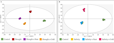 Single and combined effect of salinity, heat, cold, and drought in Arabidopsis at metabolomics and photosynthetic levels