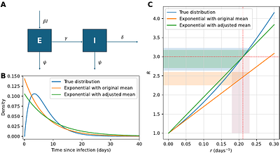 Common misspecification of the generation interval leads to reproduction number underestimation in phylodynamic inference