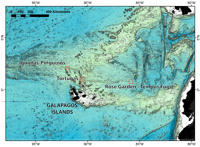 Hydrothermal vent fauna of the Galapagos Rift: Updated species list with new records
